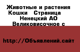 Животные и растения Кошки - Страница 5 . Ненецкий АО,Великовисочное с.